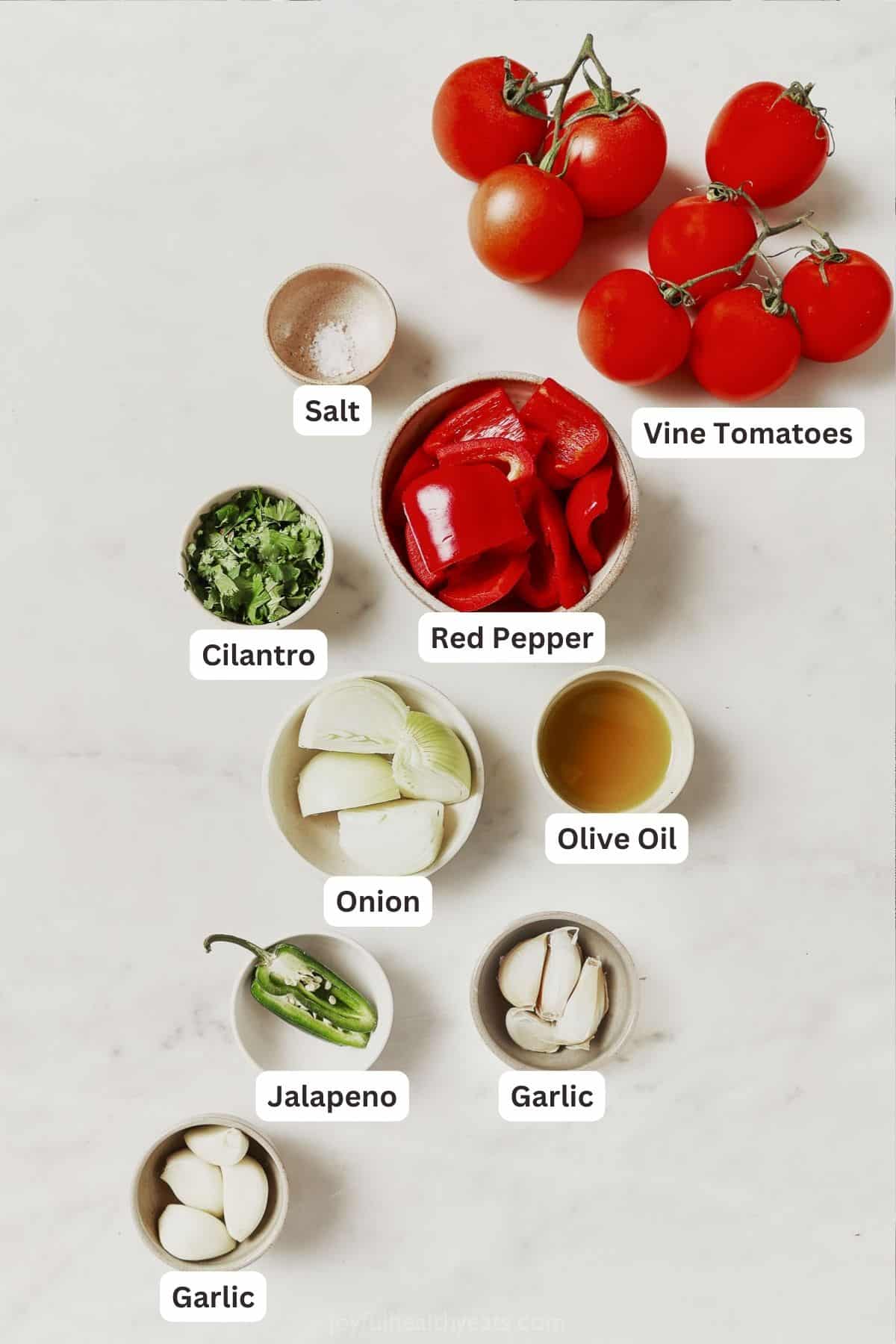 Labeled ingredients for roasted tomato salsa.