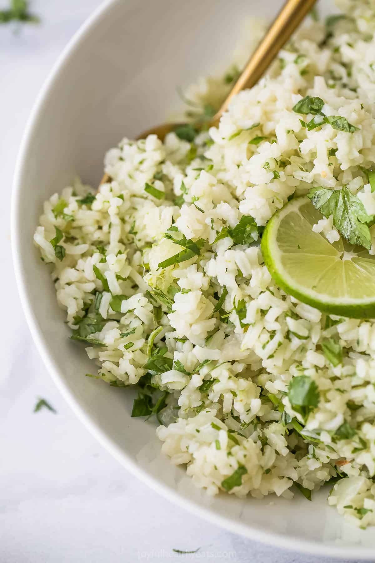 Angled photo of a bowl of Tex-Mex rice with cilantro. 