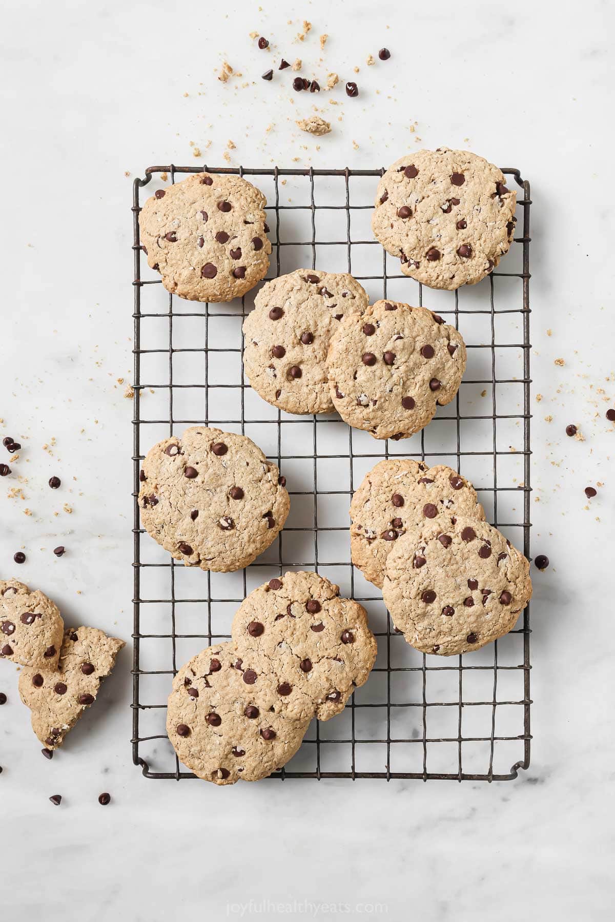 Cool coconut chocolate chip oatmeal cookies on a wire rack. 