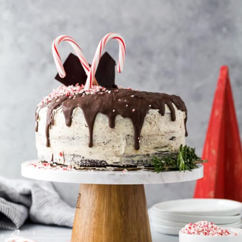 Vegan Chocolate Cake Recipe with Peppermint Buttercream | Gluten Free