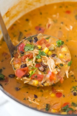 Creamy Chicken Enchilada Soup Recipe | Joyful Healthy Eats