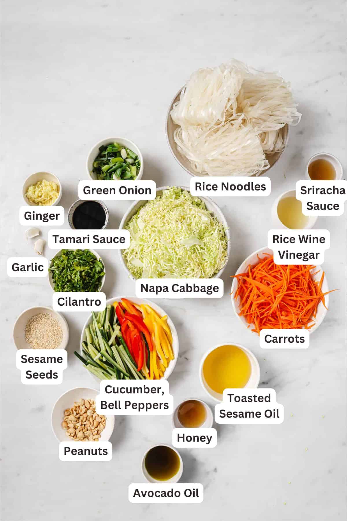 Ingredients for Asian Noodle Salad.