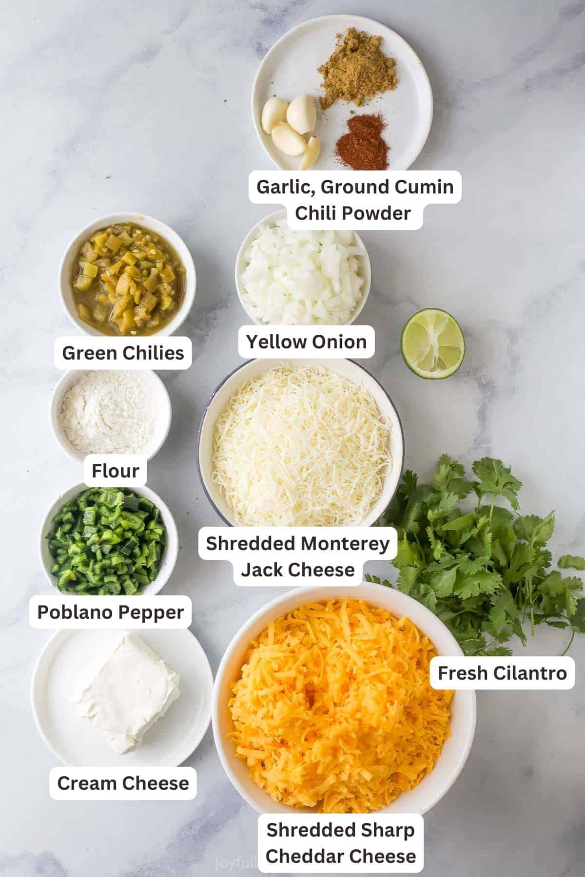 Ingredients for Chile Con Queso.