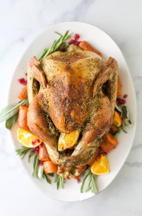 Roasted dry brine turkey with crispy, golden skin on a serving plate.