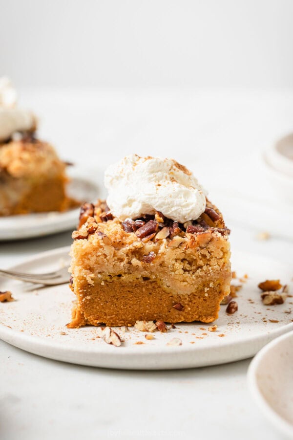 A slice of pumpkin dump cake with whipped cream and cinnamon.