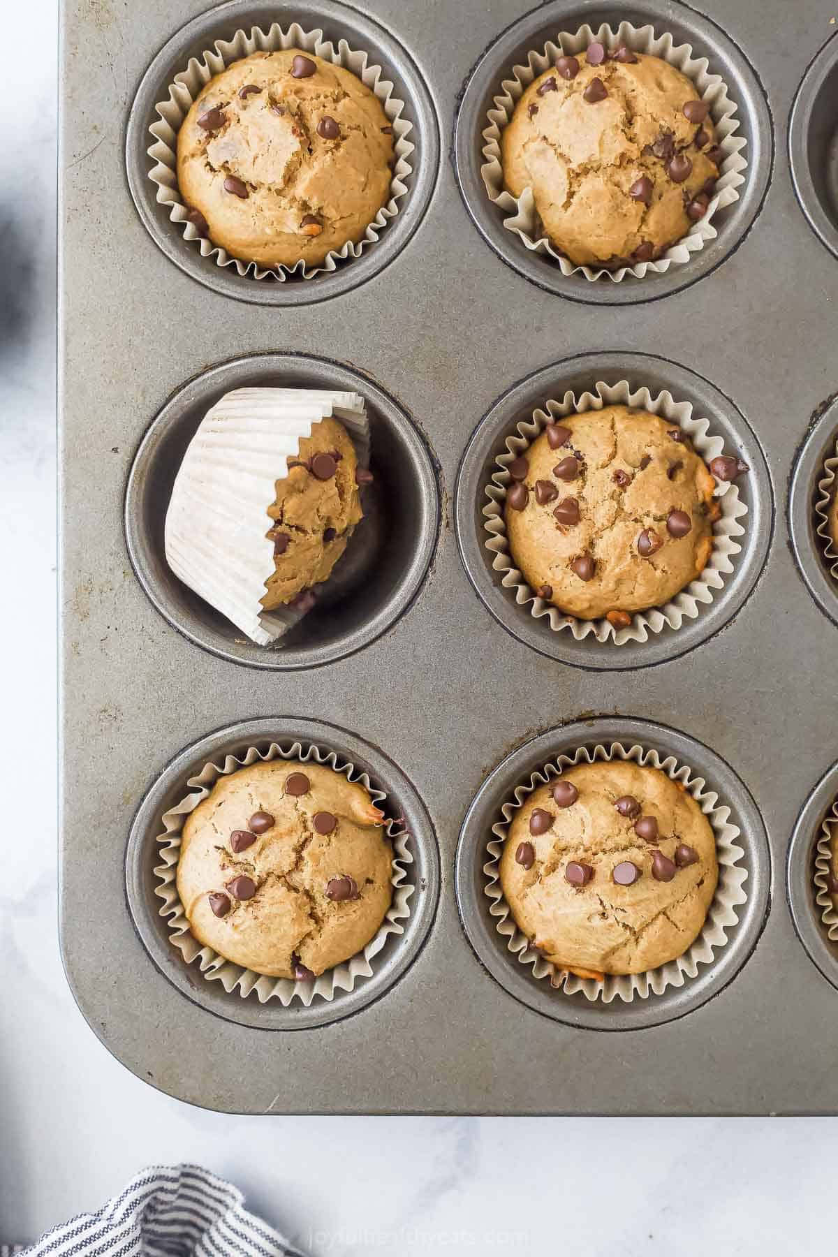 Close-up of fluffy chocolate chip muffins in the tray. 