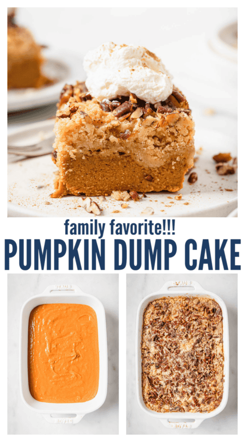 pinterest image for Pumpkin Dump Cake Recipe